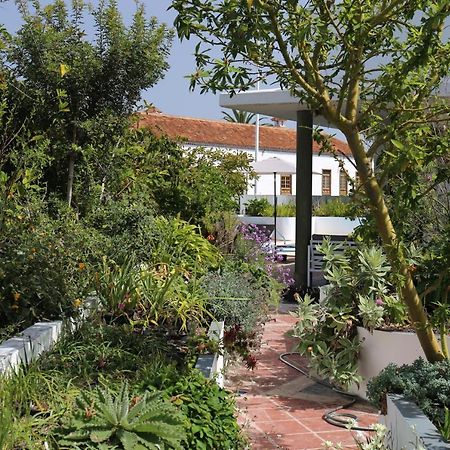 Jungle Paradise La Orotava Zewnętrze zdjęcie