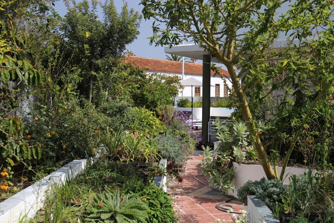 Jungle Paradise La Orotava Zewnętrze zdjęcie