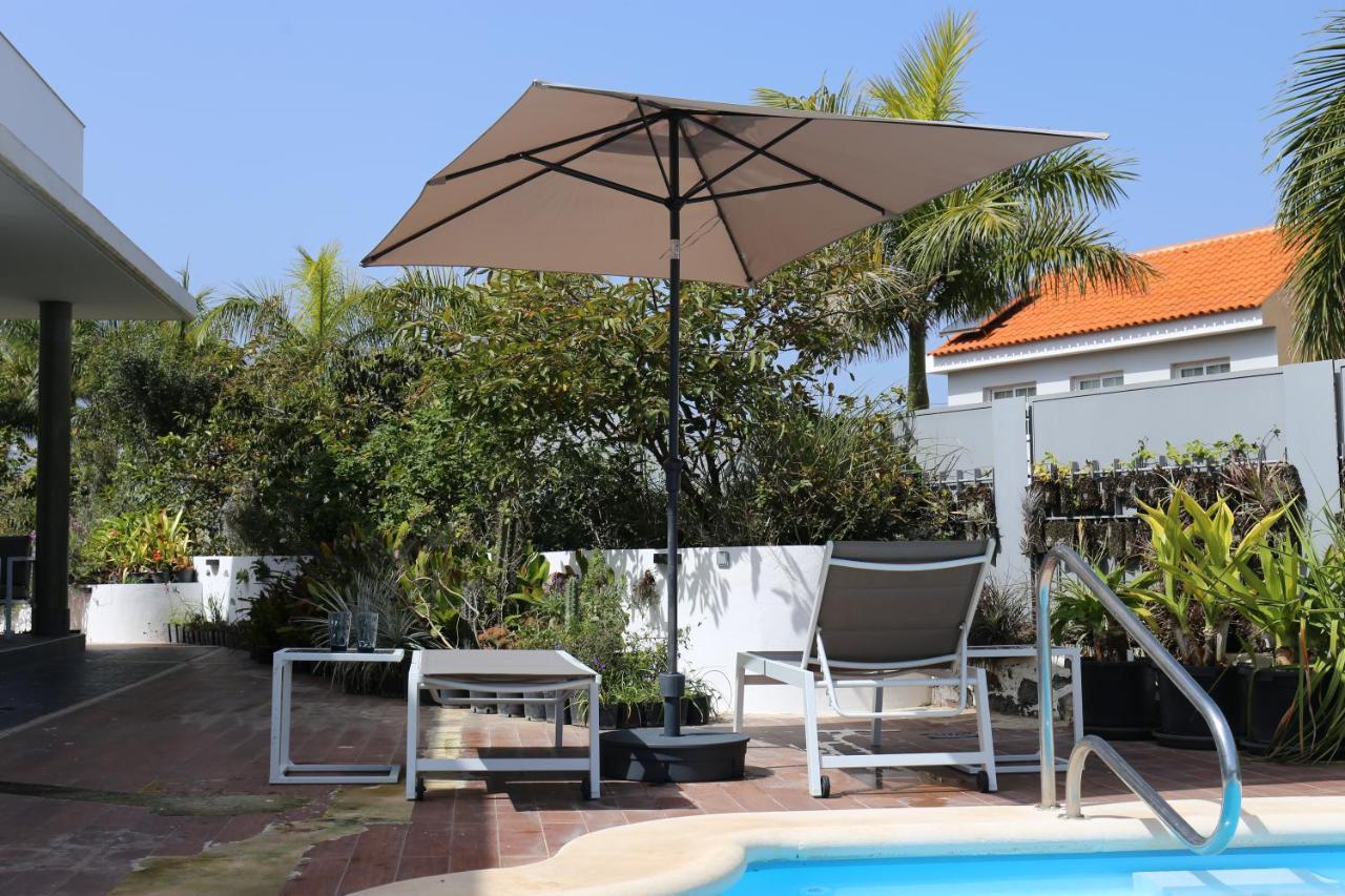 Jungle Paradise La Orotava Zewnętrze zdjęcie